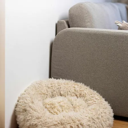 Blue Pearl Appartement Rovinj